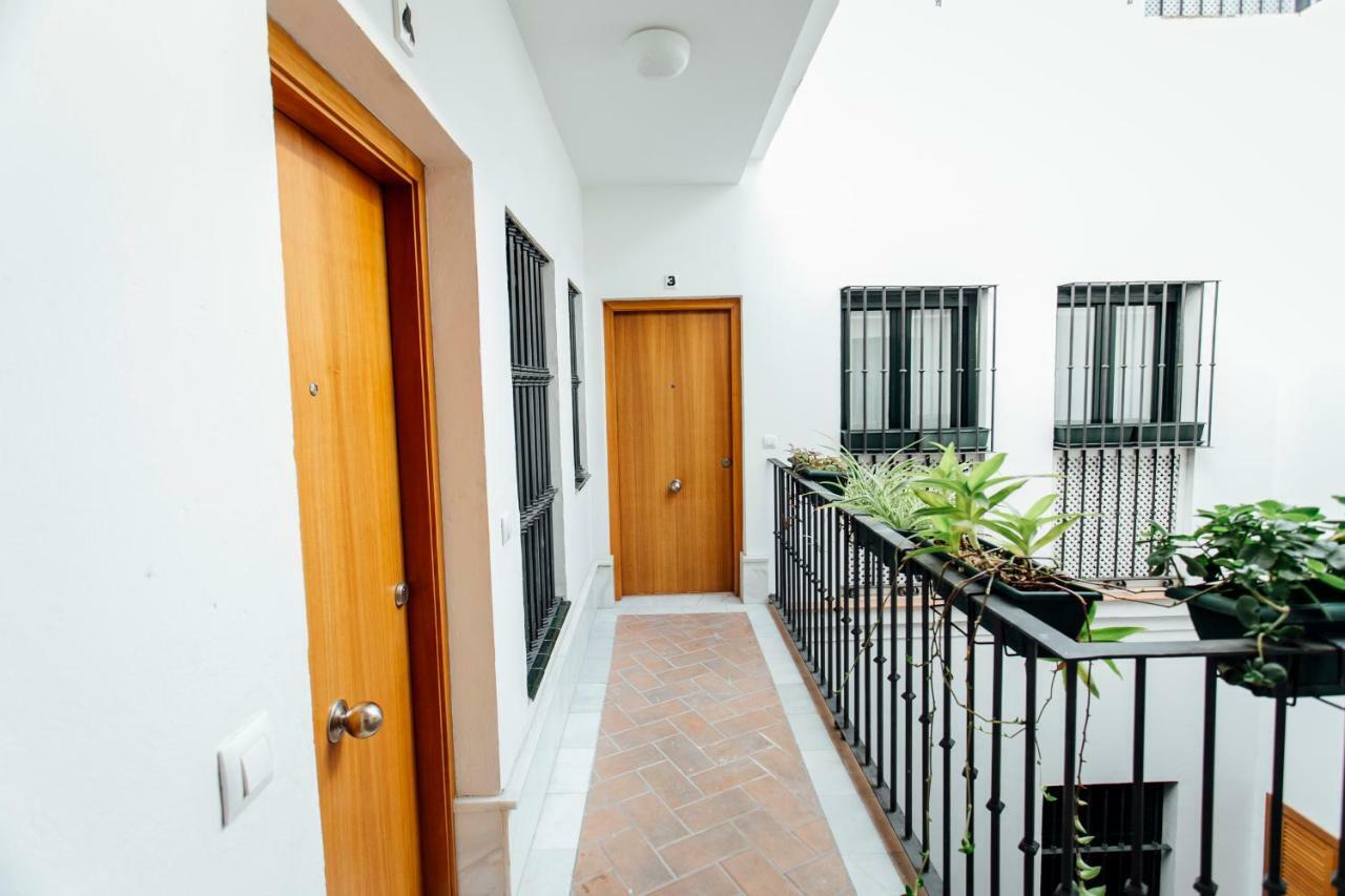 塞维利亚Bright Duplex W/ Terrace公寓 外观 照片