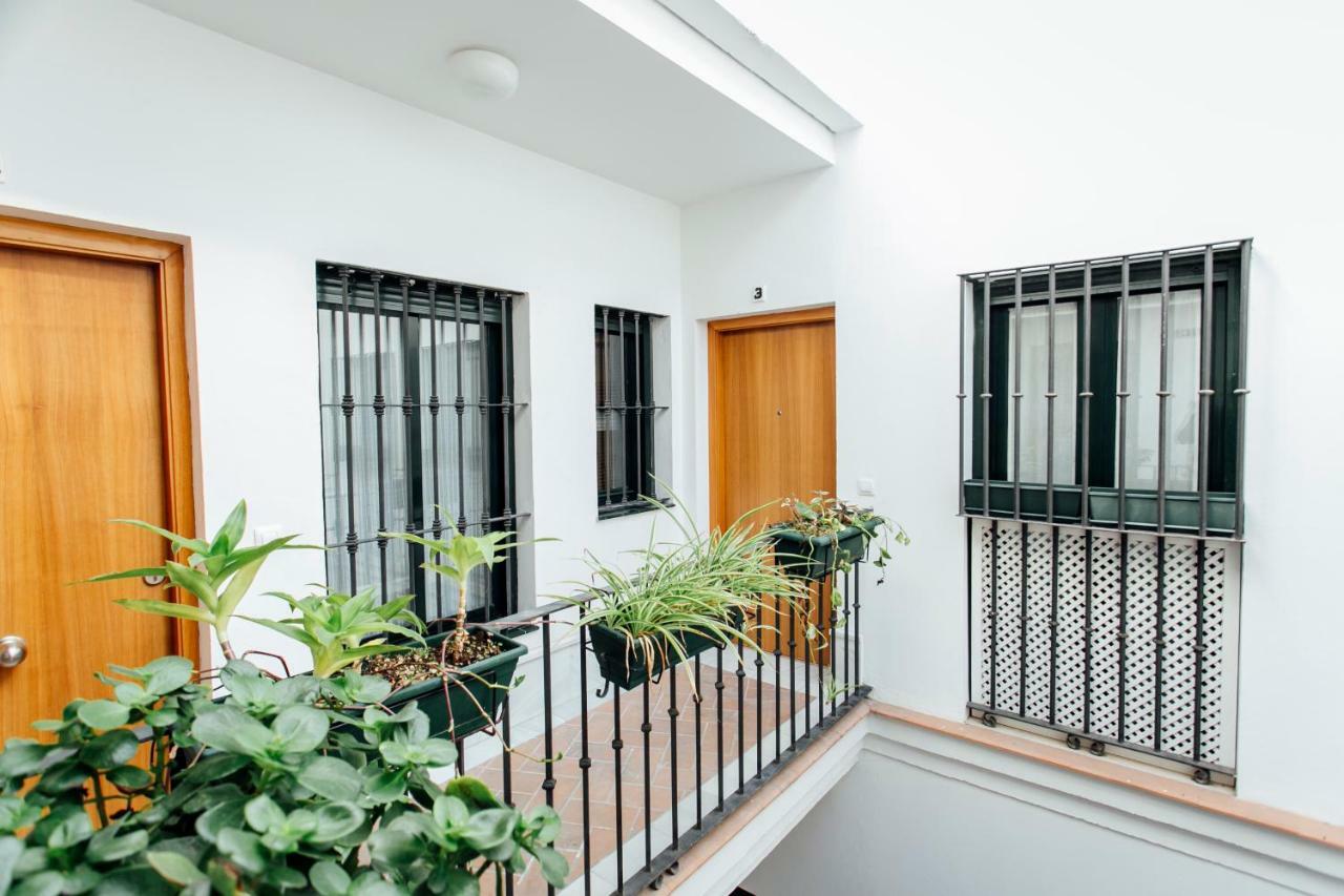 塞维利亚Bright Duplex W/ Terrace公寓 外观 照片